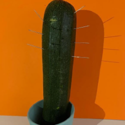 015