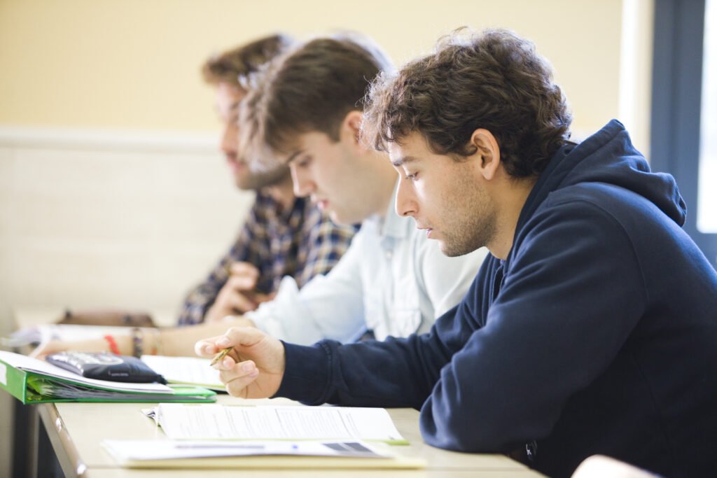 BAM Unibertsitate Eskolak Haur eta Lehen Hezkuntzako gradu bikoitza eskaintzen du Artea eta Hezkuntza, edo Hizkuntzen Sarrera Goiztiarraren aipamenekin, eta Lehen Hezkuntzan, Atzerriko Hizkuntza edo Curriculumean Sakontzea aipamenekin. Ikasle berrientzat eskaintzen den plaza kopurua 10 da.